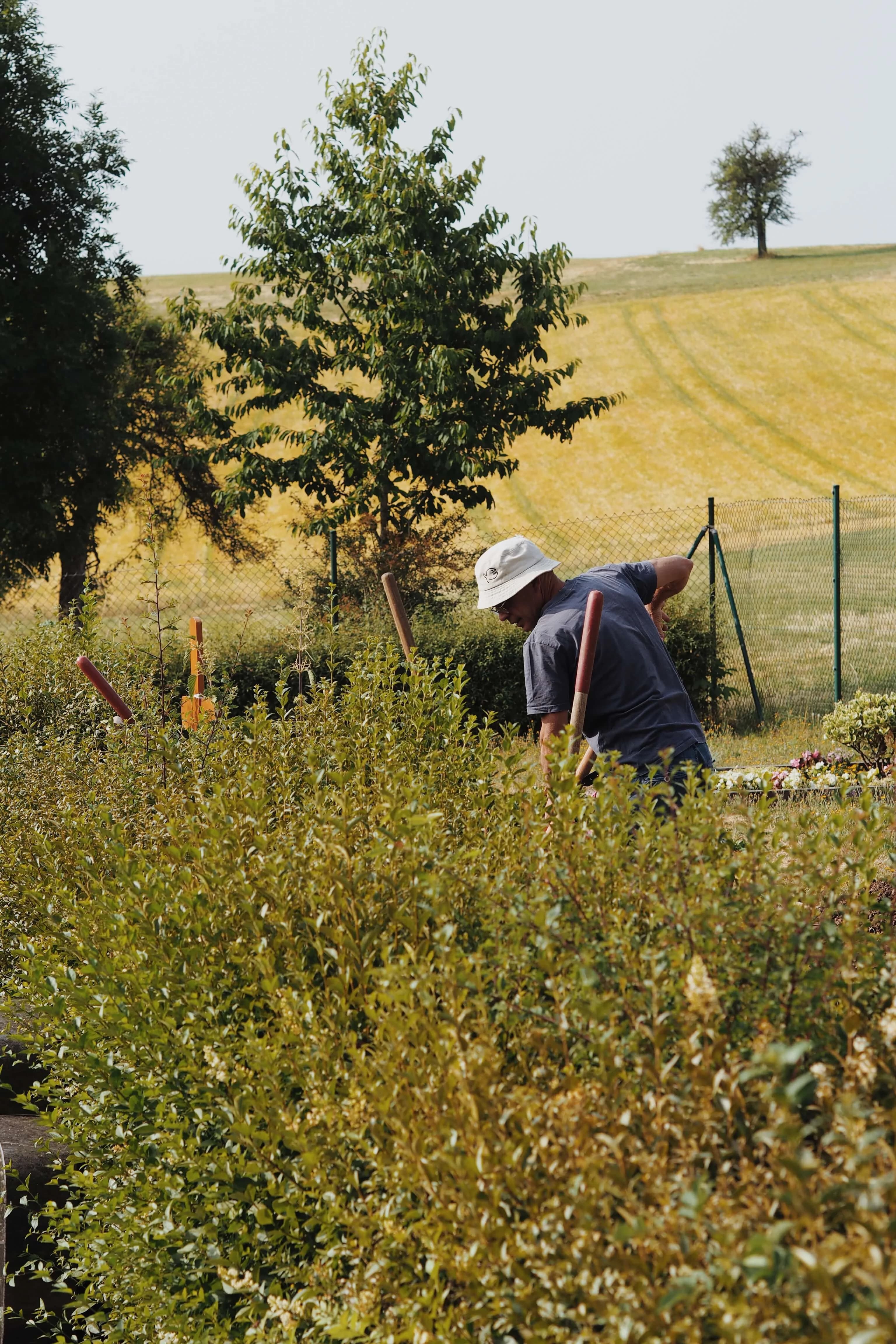 Urnengrab mit moderner, schlichter Formensprache und eingelassener Inschrift